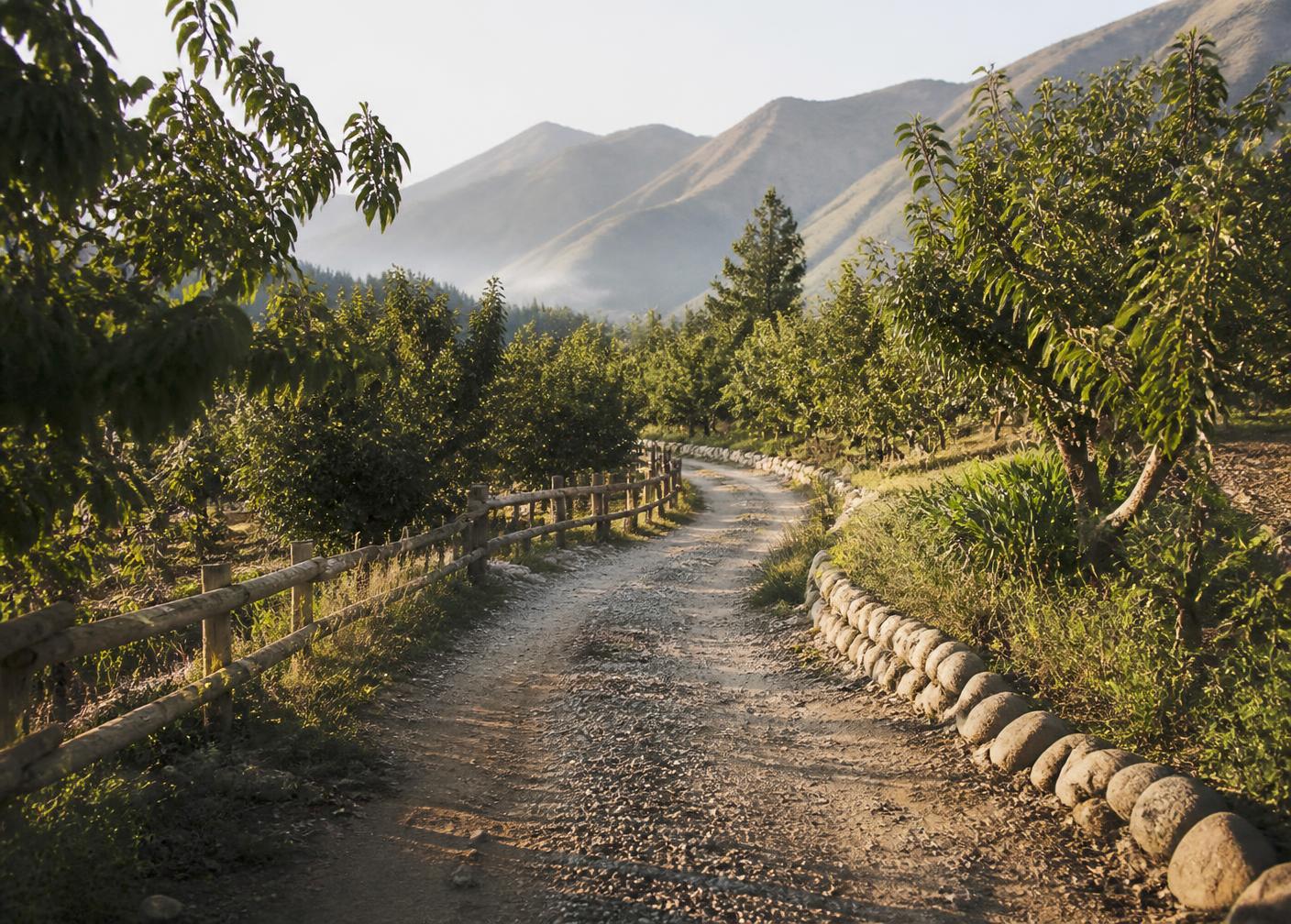 Caminos del huerto